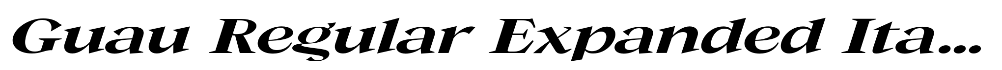 Guau Regular Expanded Italic image